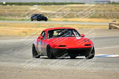 media/Jul-27-2024-Speed Ventures (Sat) [[14cea0cda4]]/Purple/Cotton Corners 1250pm/